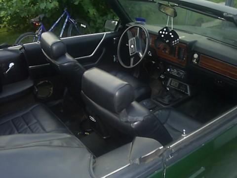 TJ's Mustang 002.jpg